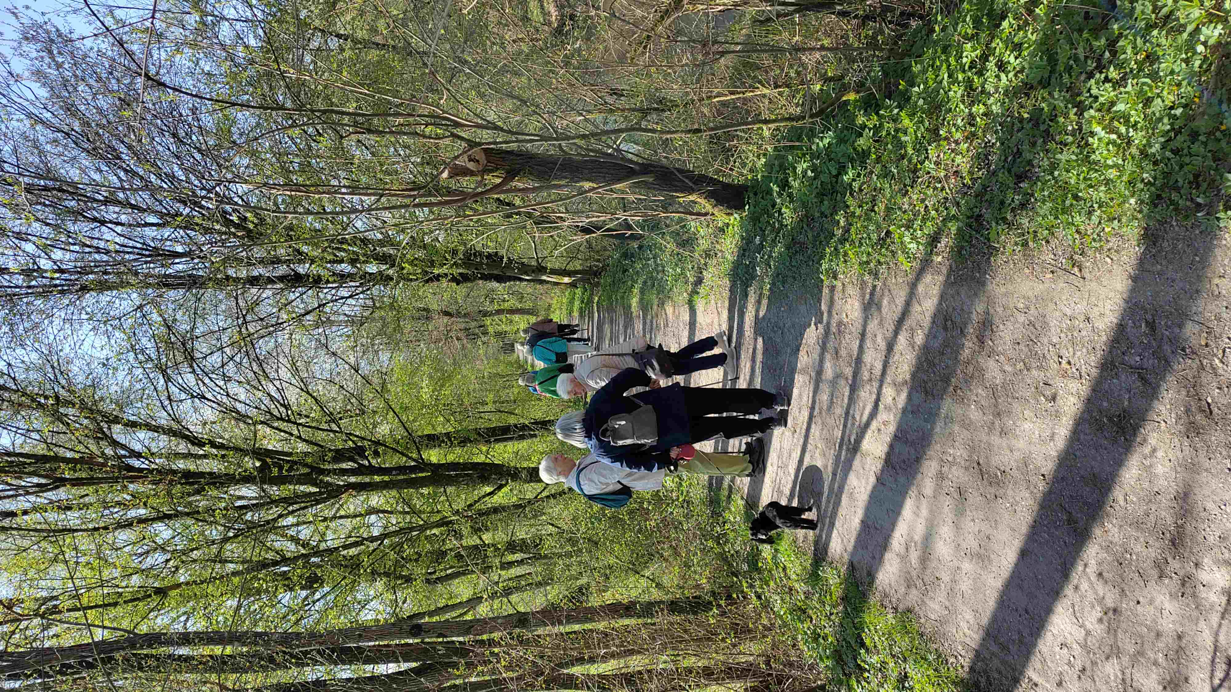 Wanderungen Mai Juni Juli
