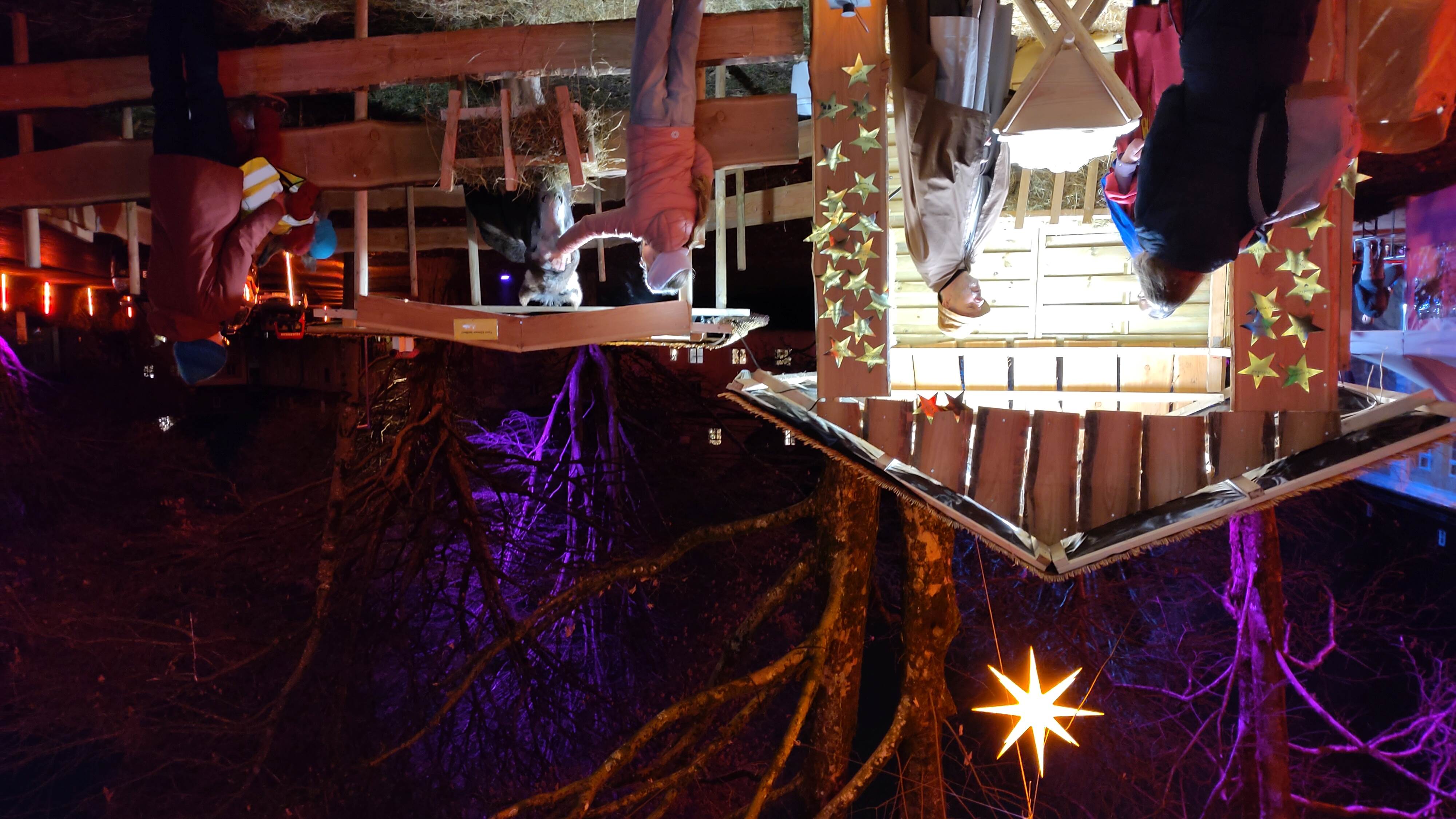  Lebendige Krippe mit Esel stieß...