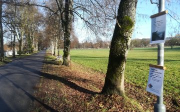 Mariataler Allee - Impulsweg